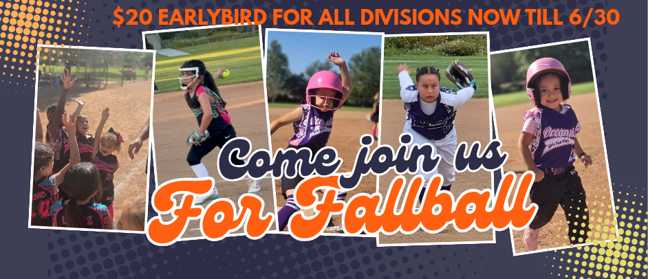 FALLBALL REGISTRATION